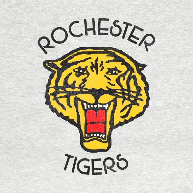 Defunct Rochester Tigers Football Team by Defunctland